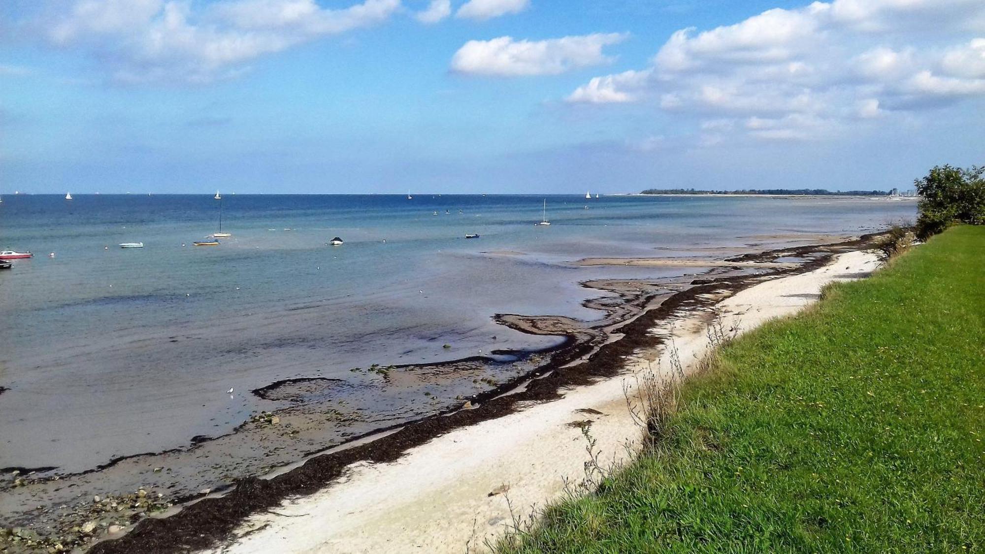 Ferienwohnung-Ostseestrand-In-Stein-Bei-Laboe Stein  Eksteriør bilde
